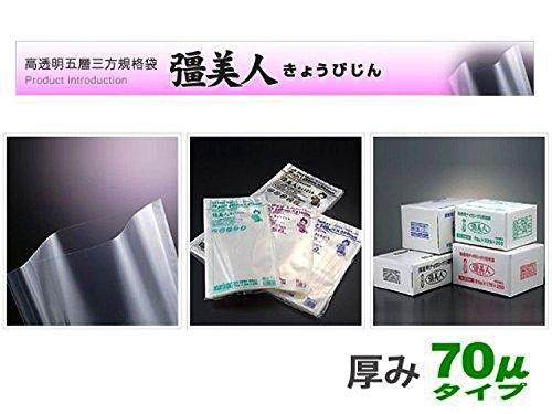 Vacuum Bag Saibijin compatible strength 5 standard XS-1725 (Width 17cmLength 25cm) [Thickness 70] [100 pieces] [Nylon polybag] [Vacuum bag/High