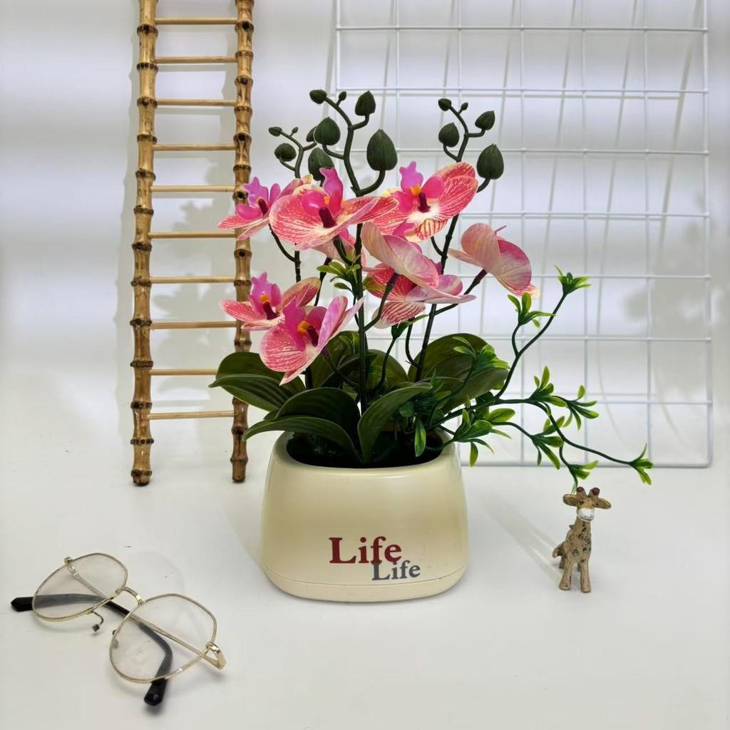 Butterfly Orchid Artificial Plant For Photography Decor And Home Styling