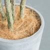 Dust-Free Planter Coconut Fiber Maintain Soil Surface Temperature Fiber for Garden Flower Pots Planters