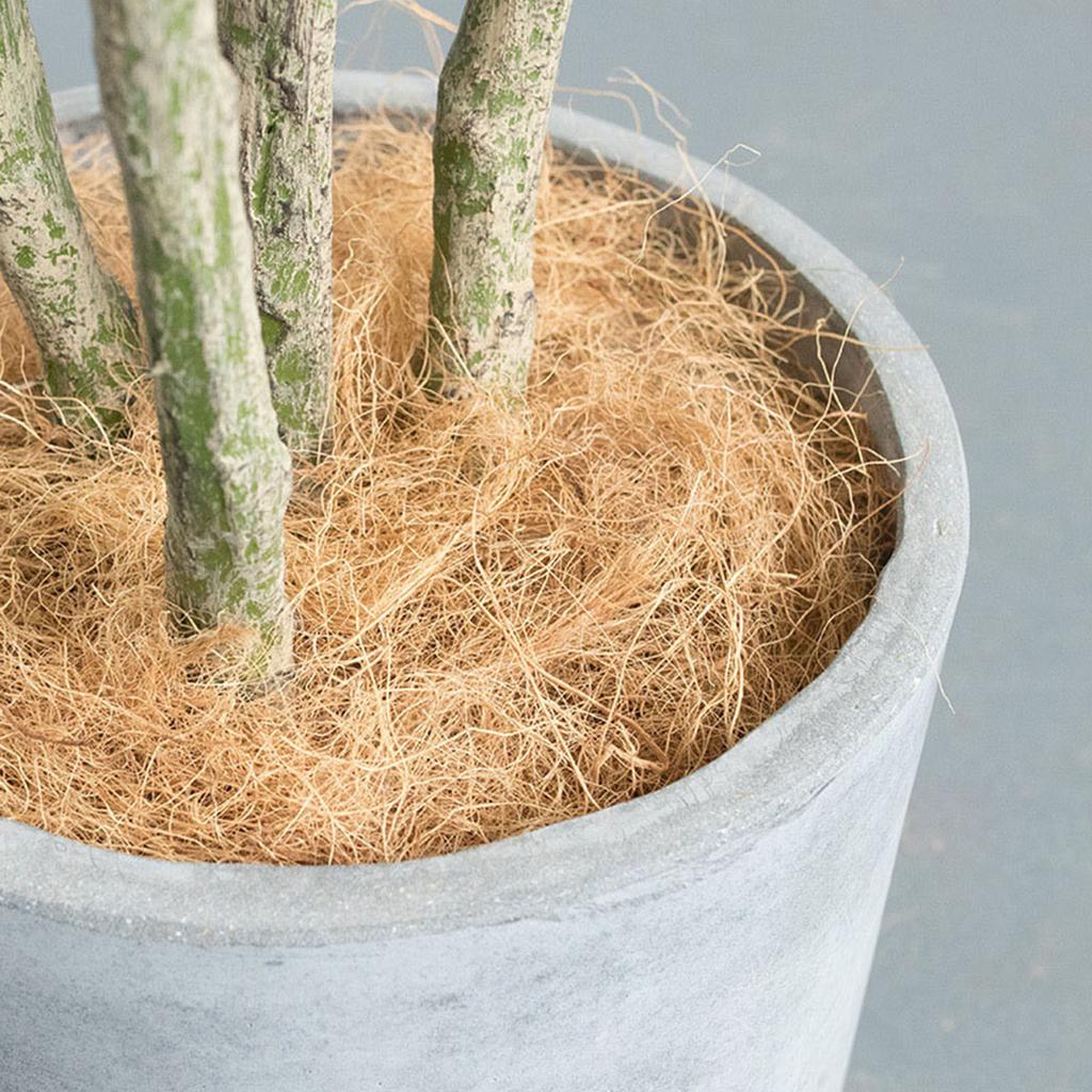 Dust-Free Planter Coconut Fiber Maintain Soil Surface Temperature Fiber for Garden Flower Pots Planters