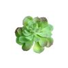 5pcs Mini Artificial Succulents Plant Fake Cactus Garden Home Office Decor Sets
