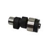 Hot Sale Camshaft for ODES BRP, 1-Cylinder, 21040101401, 420620021, 420620025