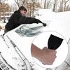High-Quality Plastic Scrapers for Wall Coverings, Spackle, and Repairs - 6 Piece
