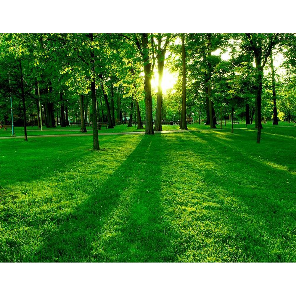 Fresh Nature Wallpaper Park Sunlight Wall Mural Bedroom Living Room Removable Mural Large Wallpaper