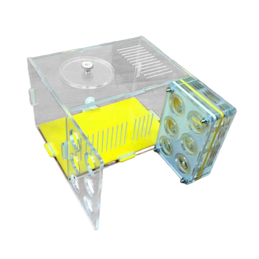 ANT Farm Easy To Assemble Workshop Moisture House Nest Box Breeding Case for Tabletop Science Observation