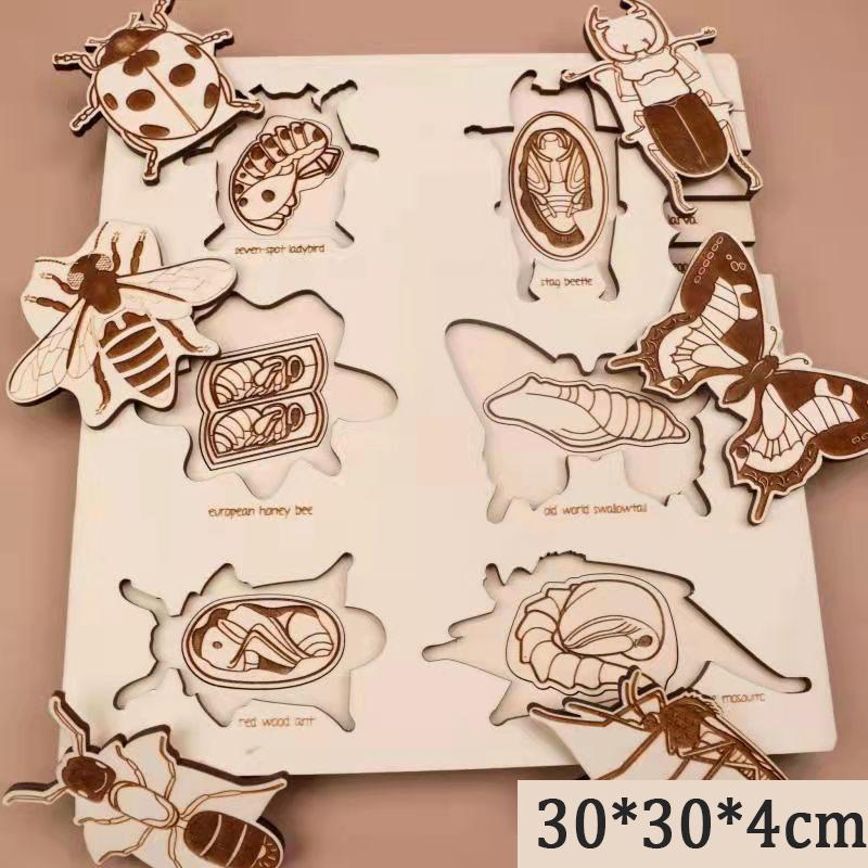 

Монтессори Деревянные головоломки жизненного цикла Игрушка Пчела Структура насекомого Изучение цикла роста растений Наука Обучающие пособия Математика Сортировка Игрушка