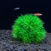 Micro Landscape Sand Table Home Decoration Grass Ball Ornaments Ecological Tank Aquascape Plastic Fake Aquatic Simulation Plants