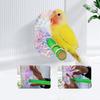 Scratch Resistant Parrot Perching Stand Wear Resistant Bird Stand Rod Toys  Pet Accessories
