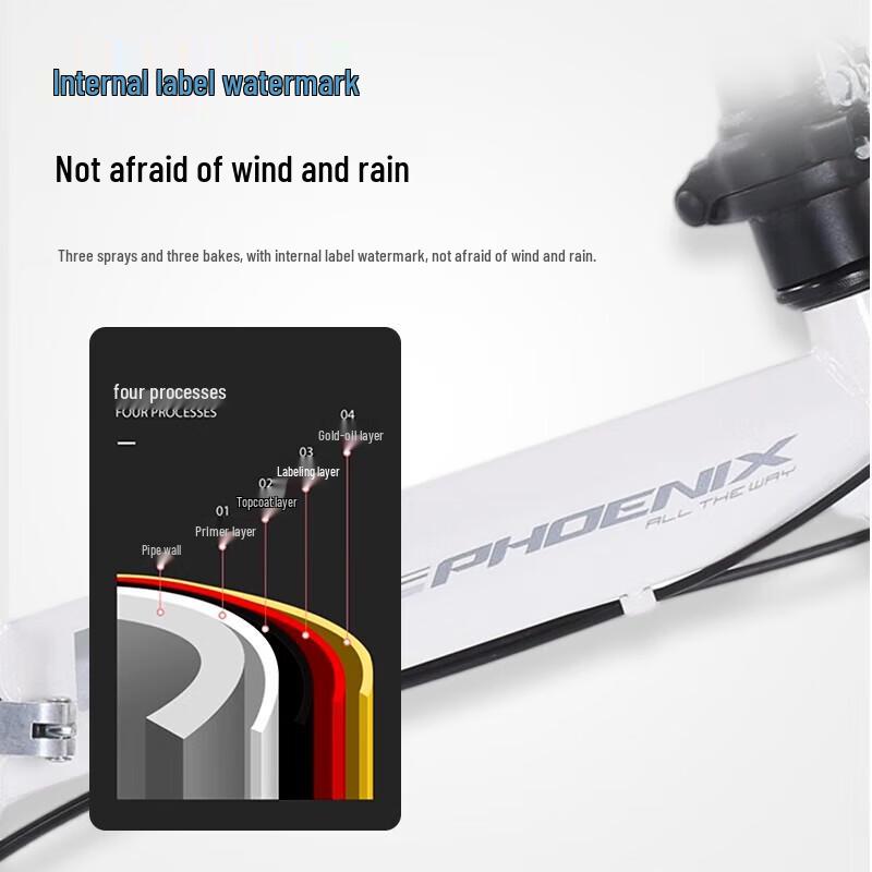 Phoenix FD01 20-inch Adult Folding Bicycle