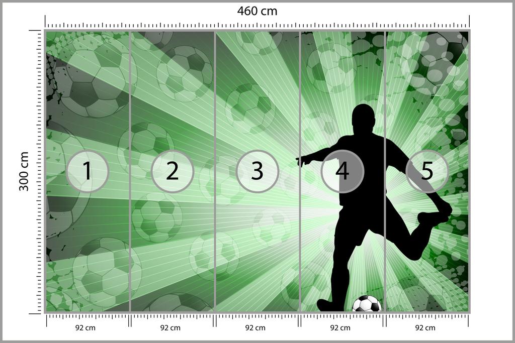 Photomural Football Player Silhouette Self-Adhesive Mural 460x300