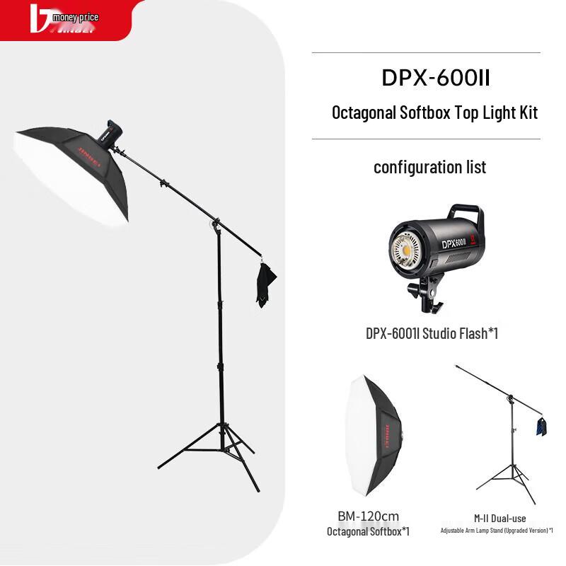 JINBEI Professional 600W Studio Flash Kit