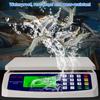 30kg/1g Commercial Food Scale LCD Display Price Computing Scale Multi-Function Stainless Steel Counting Scale for Cooking