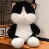 Cute Peach Cat Ugly Cute Kitten Grab Machine Doll Doll Plush Toys Children's Birthday Gift