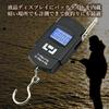 Fishing Digital Fishing Hanging Night Fishing Scale, Scale, Gear, Scale, Weight,