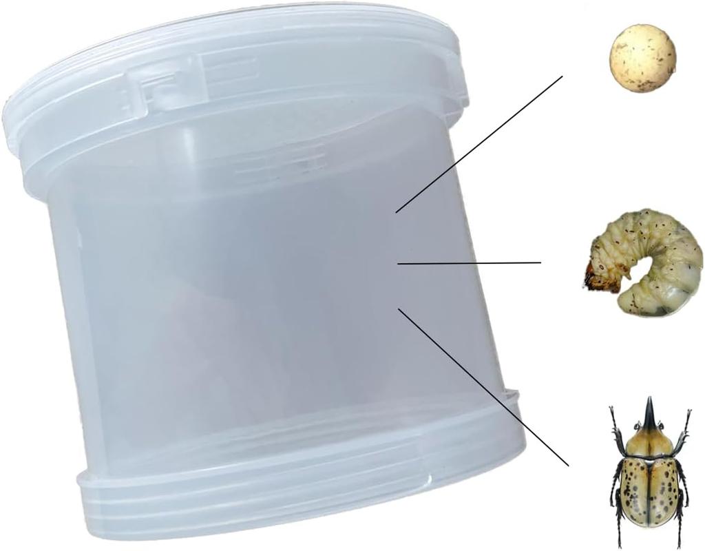 Scatola per Allevamento di Scarabei e Scarabei Rinoceronte Terrario Trasparente per Insetti con Coperchio Ventilato per Larve e Animali Domestici Striscianti