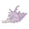 Fashionable Conch Designs Hair Claw Clip Acrylic Hair Grip With Strong Hold Multiple Color for Versatile Styling