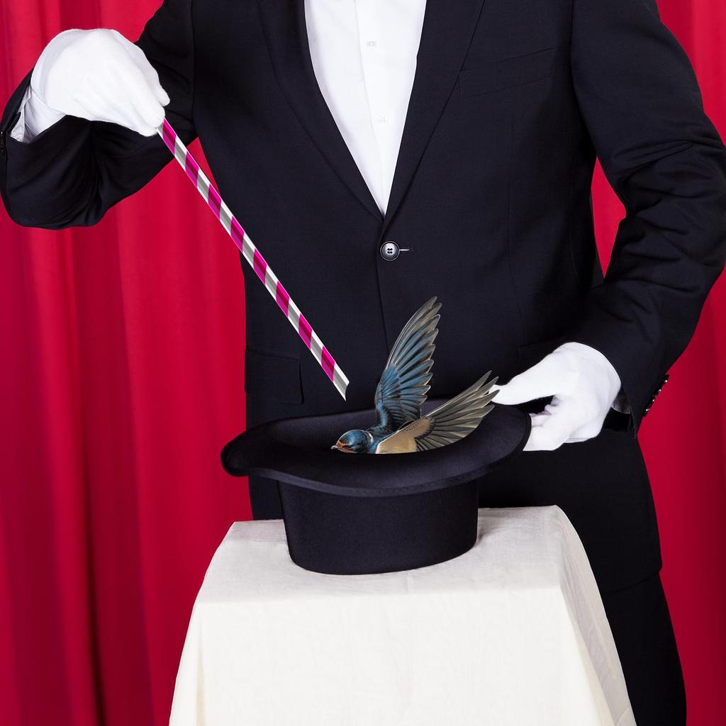 DIFEIUKI Magician Dracula Costume, 3-Piece Set (Cape, Hat, Magic Wand) for Kids, Magician Cosplay, Magic Supplies, Magic Costume, Birthday Gift,