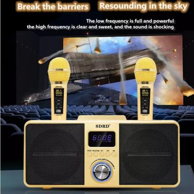 SD-309 Système de Karaoké Portable pour la Maison Bluetooth Sans Fil Double Microphone Haut-Parleur Stéréo 3D
