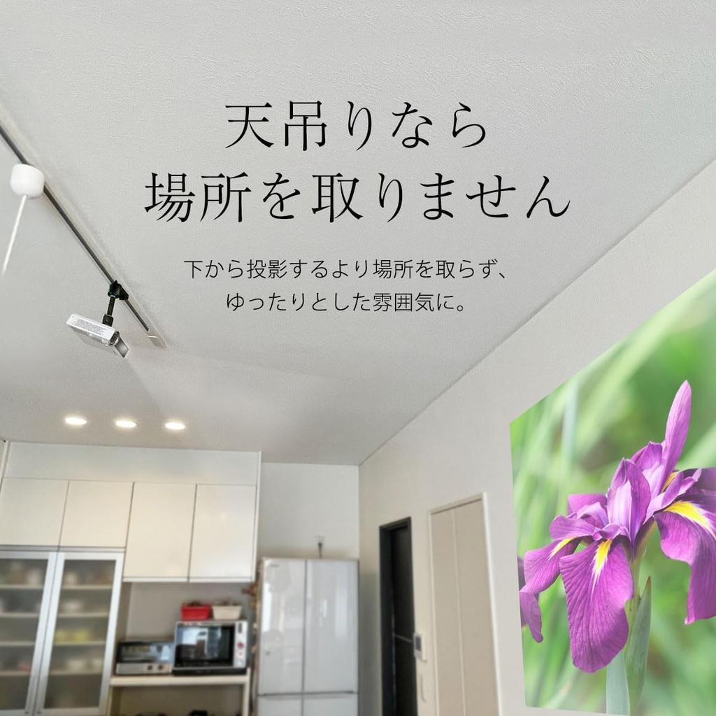 Duct Rail Projector Ceiling Mount Bracket for Lighting Rail Double Lock Black Load Capacity 3Kg Plug Included Inch Screw Angle Adjustment Height