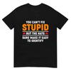You Can't Fix Stupid But The Hats Sure Make It Easy Identify T-Shirt