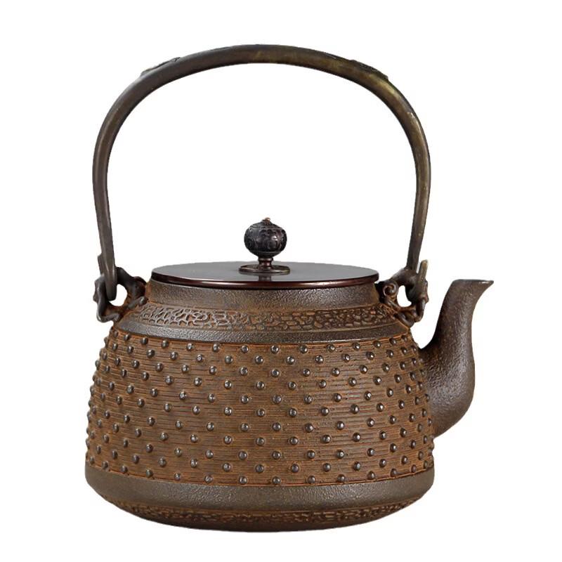 Tea Cycle Cast Iron Water Kettle