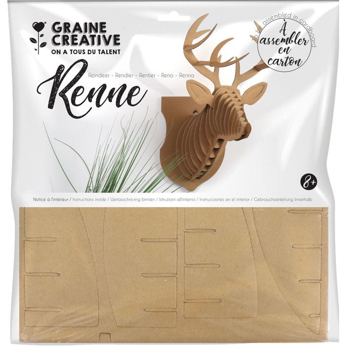 TROPHEE RENNE CARTON GM 305x305MM