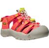Сандалии Keen Newport Boundless C