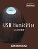 Green House Desktop USB Ultrasonic Egg Dark Humidifier, Shape, Ebony, GH-UMSEH-DE