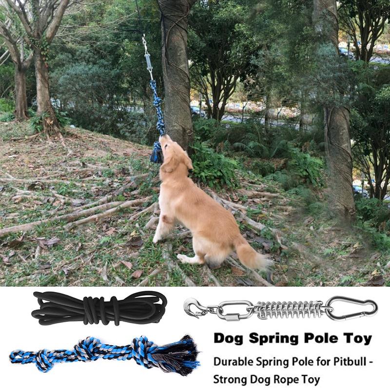 dog pole toy