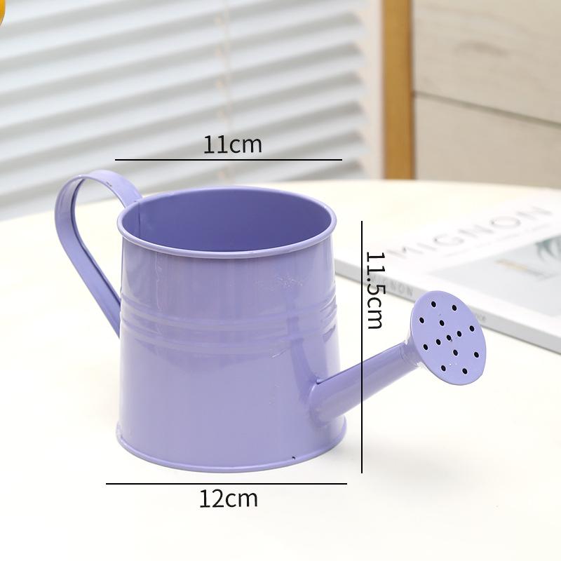 Retro Eisen Sukkulenten Gießkanne: Ausgehöhltes, Distressed-Design für Haushalt & Blumengebrauch