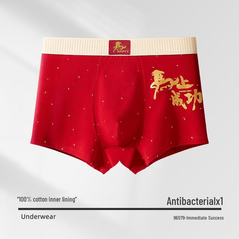 Boys' Full Cotton Underwear (Ages 15-18) - Pure Cotton Crotch for Autumn/Winter