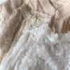 Sheer Transparent Lace Blouse Ruffles Ruched Flare Sleeve Embroidery Shirt Women Top Chemise Renda Blusa