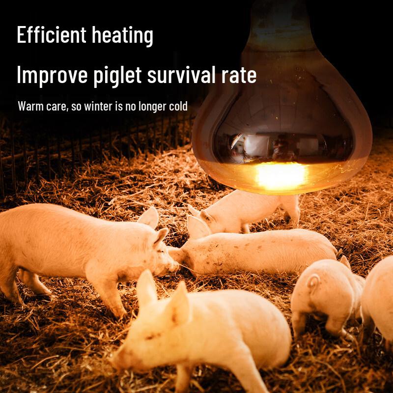 Animal Brooder Heat Lamp 150W
