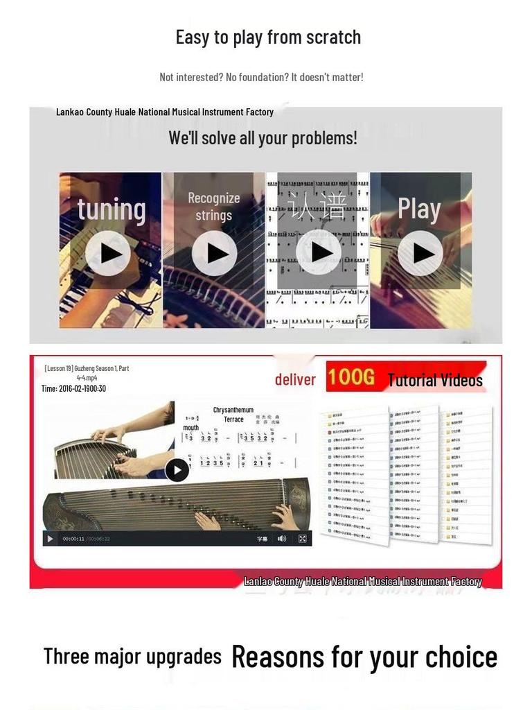 Lanyin Guzheng 1.63m: Beginner's Floral Pattern, Pre-Tuned, Exam Performance Ready