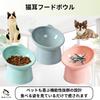 RekiLife Cat Food Easy To Eat and Easy To Set of 3 Bowl, Drink, Clean,