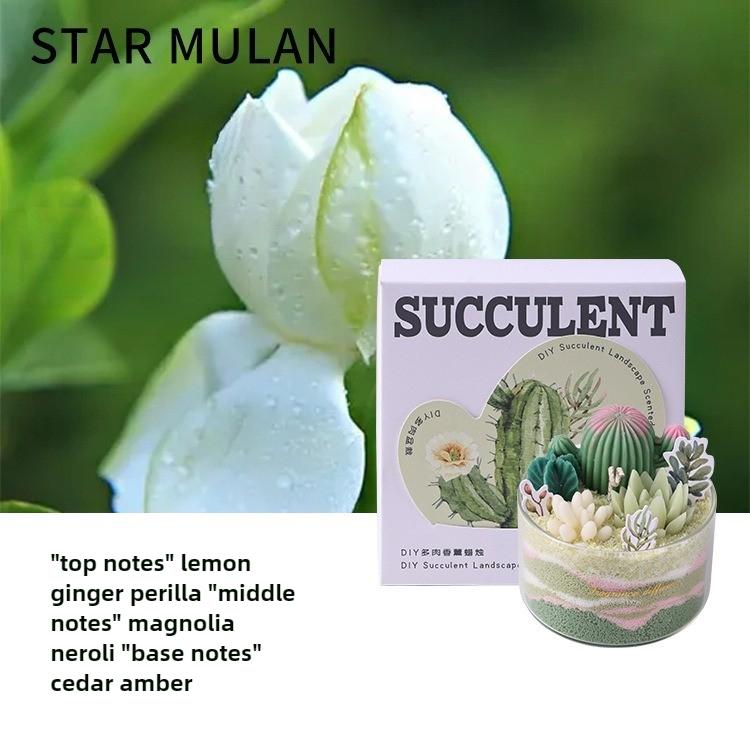 

1PC DIY Scented Candles Succulent Fragrance Indoor Plants Cactus Sand Painting Handmade Wedding Souvenir Home Decoration