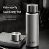 Fuguang 800ml 316L Stainless Steel Tea Infuser Thermos