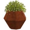 Plant Pot 2 pcs Rusty 50 x 50 x 40 cm Weatherproof Steel