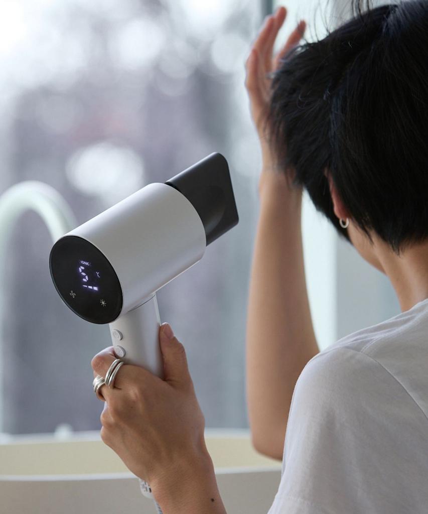 BLDC Zenablas Negative Ion Hair Dryer LZDR-MCR1