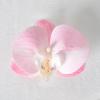 5pcs Simulated Film Butterfly Orchid Flower Head Petals Flower Accessories Headwear Hairclip Handmade Wedding Gift Decoration