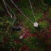 S925 Sterling Silver Lucky Four-Leaf Clover Moissanite Necklace