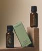 EssenHERB Teebaum 100 Öl 20ml