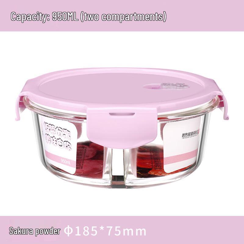 EWIGER STERN Borosilicate Glass Lunch Box with Compartments