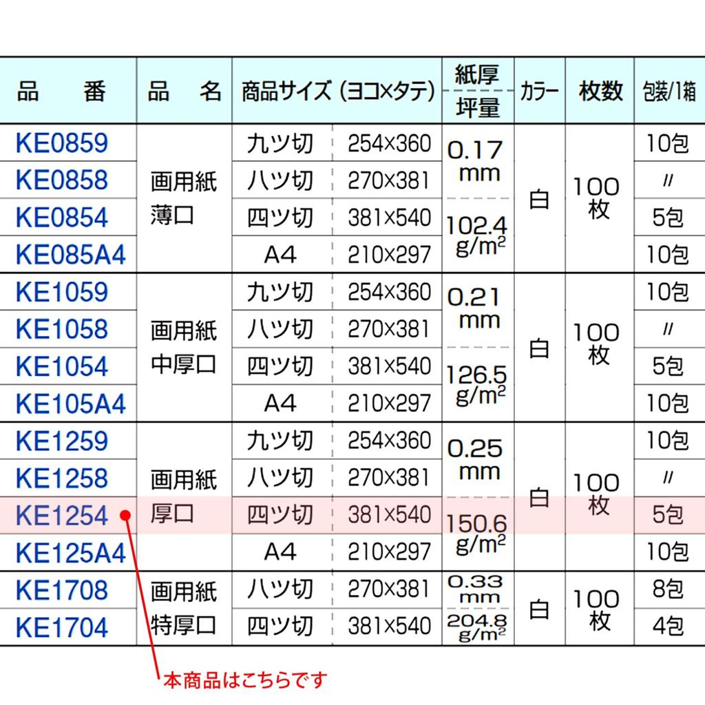 Kyokuto Associates Kyokuto Drawing Quarto 100 KE1254 Paper, Heavyweight, Sheets, Sheets,