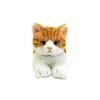 SunLemon Lap Cat Chashiro Small 13 X 36 X 15cm Plush Animal Cute Cat P-7822