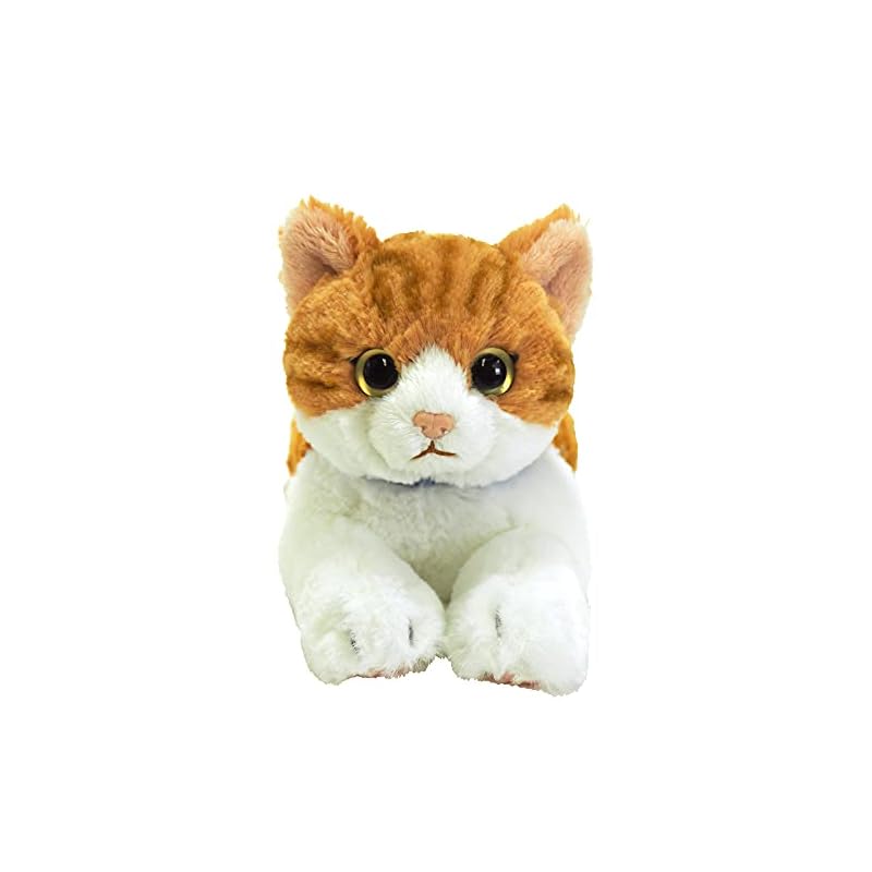 SunLemon Lap Cat Chashiro Small 13 x 36 x 15cm Plush Animal Cute Cat P-7822