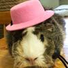 Pet Rabbit Guinea Pig Hamster Chinchilla Hedgehog Party Hat Set Festival Transformation Outfit Small Costume