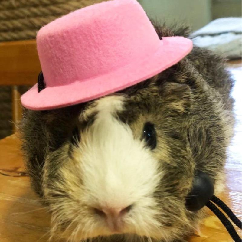 Pet Rabbit Guinea Pig Hamster Chinchilla Hedgehog Party Hat Set Festival Transformation Outfit Small Costume