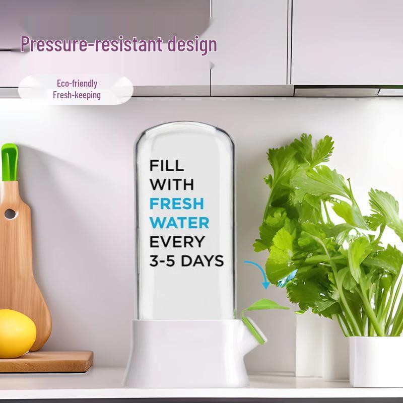 Creative Anti-Crush Fresh-Keeping Box for Vegetables & Cilantro