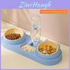 Pet Cat Food And Water Bowl Set With Antispill Design For Home Use